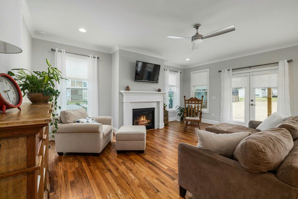 Transformez Votre Jardin avec des Plantes Grimpantes : Créez une Haie Végétale Unique et Innovante