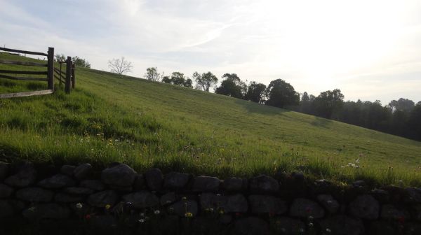 Guide pratique pour un terrassement et assainissement en Ille-et-Vilaine