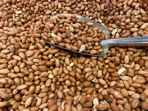 Ramasse noix manuel : pratique, efficace et ergonomique